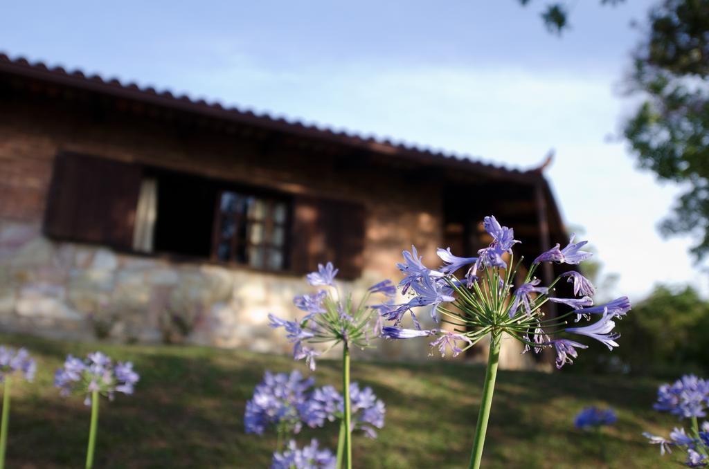 Hotel Pousada Spa Prana Lorien Santo Antônio do Leite Exterior foto